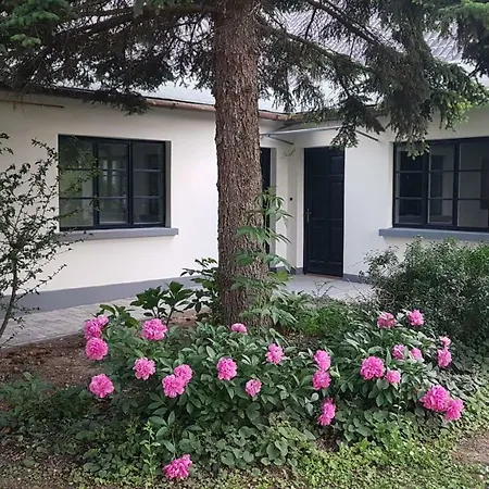 Zrinyi 15 Apartment *